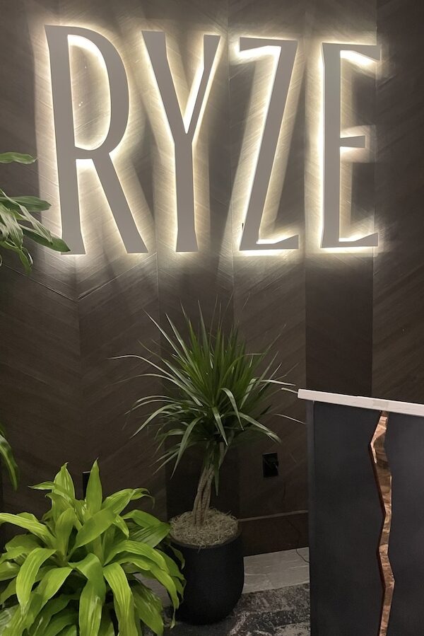 Ryze Skyline Lounge logo